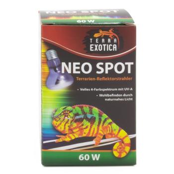 Terra ExoticaNeo Spot - 60 Watt Terrarien-Reflektorstrahler